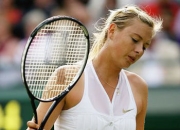 莎拉波娃连续十二场比赛得分超过爆冷，日本队挑战极限！的简单介绍